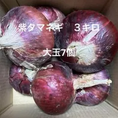 紫タマネギ　サラダ用　大玉3キロ　7個のサムネイル
