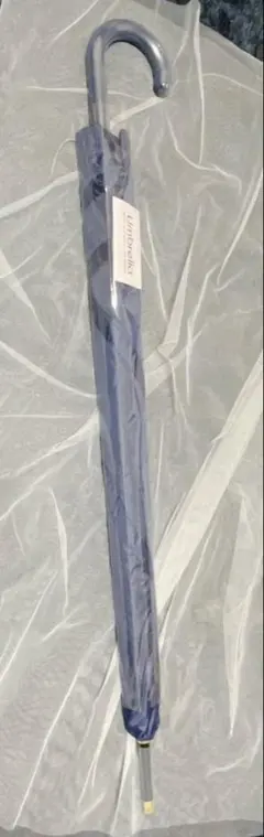 Item thumbnail for item 311d8529-ddb4-4c03-9485-69c43bcb65db