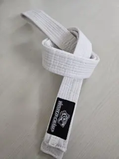 Item thumbnail for item be8b81ff-4bef-4264-9ddb-b4976d9743a0