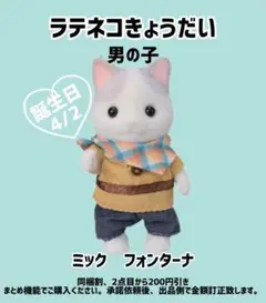 シルバニアファミリー どきどき探検セット-ラテネコきょうだい　男の子のみ