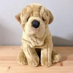 2026年最新】土佐闘犬センターの人気アイテム - メルカリ