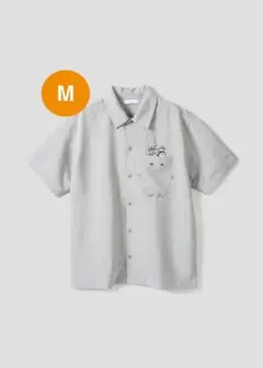 Item thumbnail for item 448782e0-981d-4dd5-a096-60e7ab6968a7