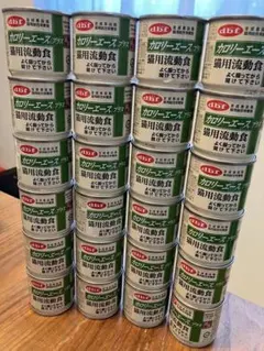 ますお無言取引可様 専用デビフ 猫流動食 カロリーエース 24缶✖️2