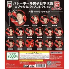 バレーボール女子日本代表 缶バッジ 7個セット - メルカリ