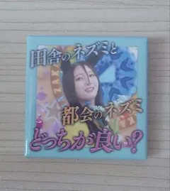 日向坂46 缶バッジ ひなあいくじ