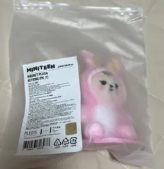 MINITEEN MAGNET PLUSH KEYRING ジョンハン