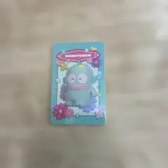 ハンギョドン Hotel Floria カード