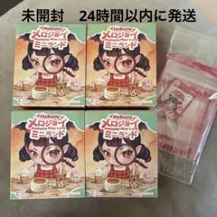 メロジョイ ミニランド 未開封5箱セット - メルカリ