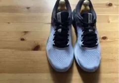 ミズノ ウェーブライダー25 大阪マラソンモデル