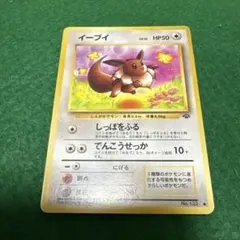 イーブイ ● 第2弾拡張パック ポケモンジャングル