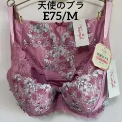 新品triumph プレミアムレッドレーベル0085 桜E75/M