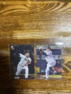 Item thumbnail for item a0569700-4ea5-480d-8fab-4a626a30e1c8