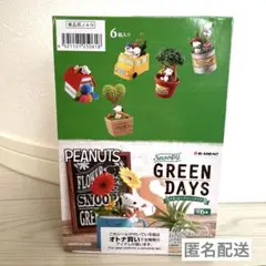 2025年最新】スヌーピー green daysの人気アイテム - メルカリ