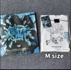 Item thumbnail for item aef38b24-bef9-458f-8759-25ebff145bc1