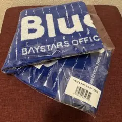 横浜DeNAベイスターズ ブルーメイツ つなげるタオルマフラー2枚組