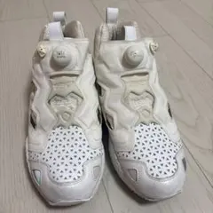 INSTA PUMP FURY White/Whiteのサムネイル