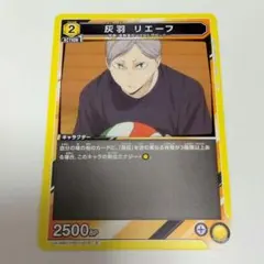 2026年最新】ユニオンアリーナ日向翔陽の人気アイテム - メルカリ