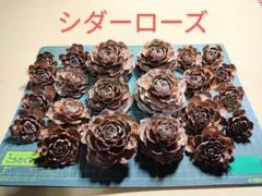 どっと てんてん様 リクエスト 4点 まとめ商品