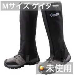 Item thumbnail for item 34daa84a-c9d2-4d98-a449-6ae2f14d2523