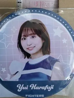 海上保安庁　缶バッチ　コラボ　fighters girl　レア　希少　まとめ売り 2025年最新】FIGHTERS girlの人気アイテム - メルカリ