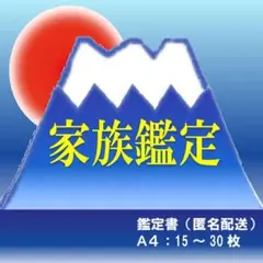 ご家族鑑定★ご家族４名様じっくり占います★霊視★メルカリ便にて鑑定書送付