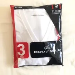 body wild メンズTシャツ　2枚セット