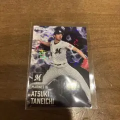 《プロ野球チップス》2025 STAR CARD 種市篤暉
