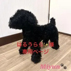 はるうらら✨様専用　ドッグトルソー♪