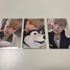 &team HARUA トレカ フォトカード 3枚セット