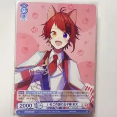 莉犬くんヴァイシュスヴァルツカード 16枚