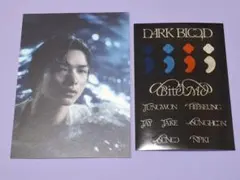 ENHYPEN ニキ ポストカード&ステッカー