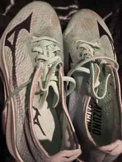 ウエーブリベリオンプロ23.5センチ　新品未使用 MIZUNO ミズノ 鬼速い ONIHAYAI PACK ウエーブリベリオンプロ