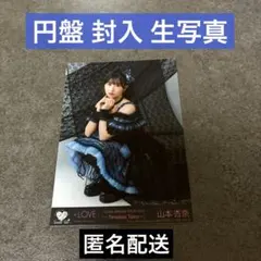山本杏奈 円盤 封入 生写真