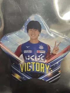 Item thumbnail for item 46f7cab5-250c-4cf3-9cd6-cb254d5a2ed2