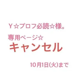 Ｙ☆プロフ必読☆様。専用ページ☆