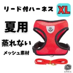 まゆみ様 リクエスト 5点 まとめ商品