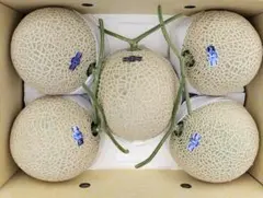高知産　約９，７ｋｇ　贈答用　５玉　大玉マスクメロン　秀品　北海道沖縄発送不可のサムネイル