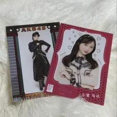 Item thumbnail for item 2b9221f6-f4e8-4e6b-a111-0daf4b226571