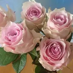 ペロ様 リクエスト 4点 まとめ商品