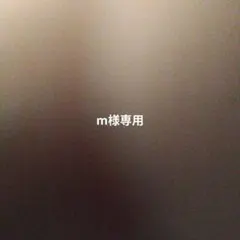 専用ページ