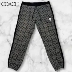 2026年最新】coach スウェットパンツの人気アイテム - メルカリ
