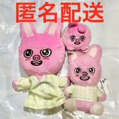 Straykids skzoo トェッキ dwaekki チャンビン 公式 - メルカリ