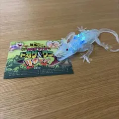 変形爬虫類リアル トカゲ＆ワニ リボーン！ フィギュアのサムネイル