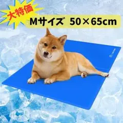 Item thumbnail for item 23d71f1c-016a-4c2b-811c-2a111f2ed754