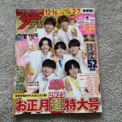ザテレビジョン2025お正月超特大号
