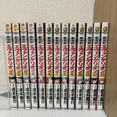 新世紀エヴァンゲリオン 1〜13巻セット