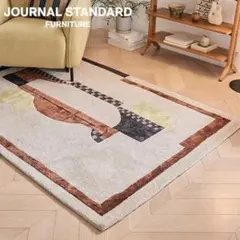 廃盤ジャーナルスタンダードファーニチャー　VISALIA RUG