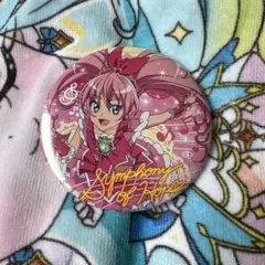 プリキュア 夢原のぞみ キュアドリーム Yes!プリキュア5 缶バッジ