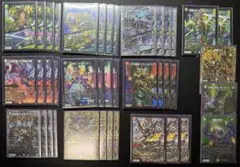 黒緑ゾロアスタート cs入賞構築 - メルカリ