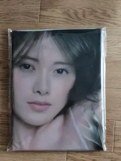 新品】白石麻衣 BIGタペストリー B2 乃木坂46 横73cm×縦52cm - メルカリ